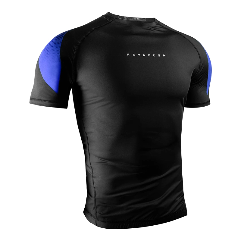 HAYABUSA T