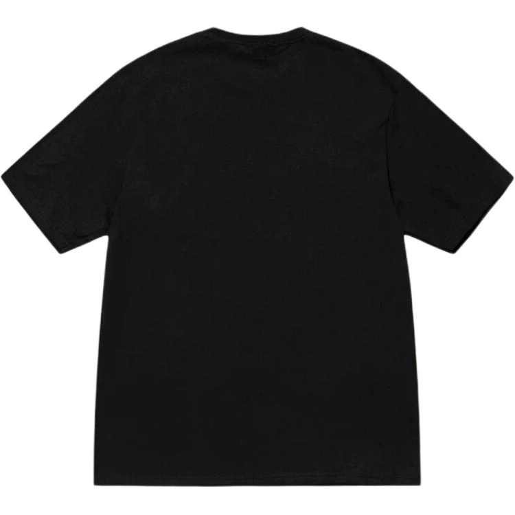 Stussy SS25 CARTON TEE T