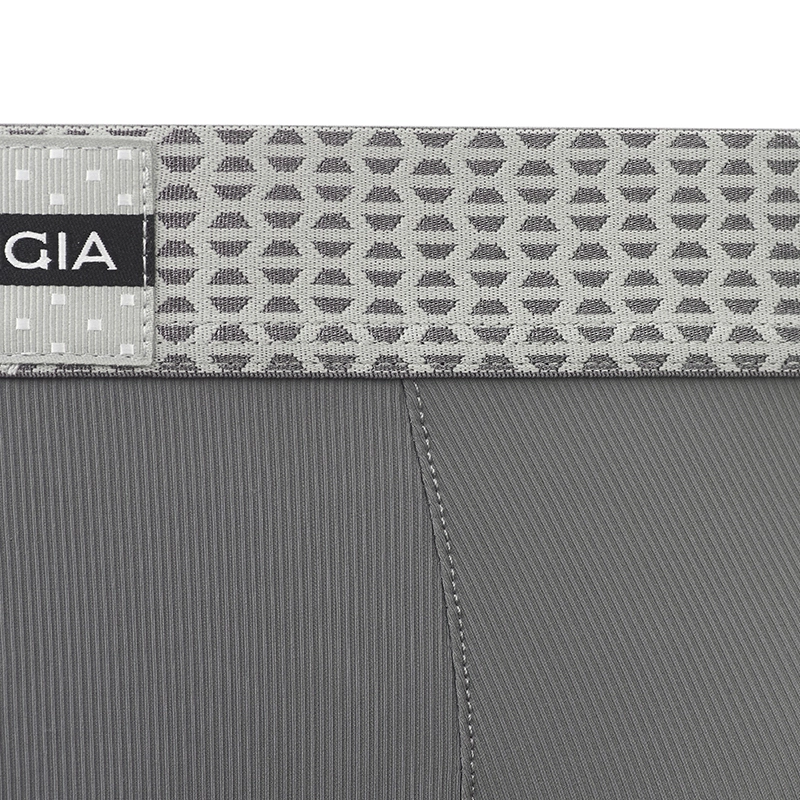SALIGIA