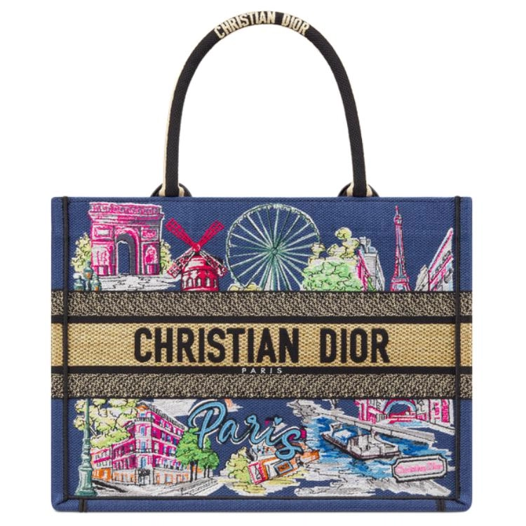 DIOR BookTote Tote