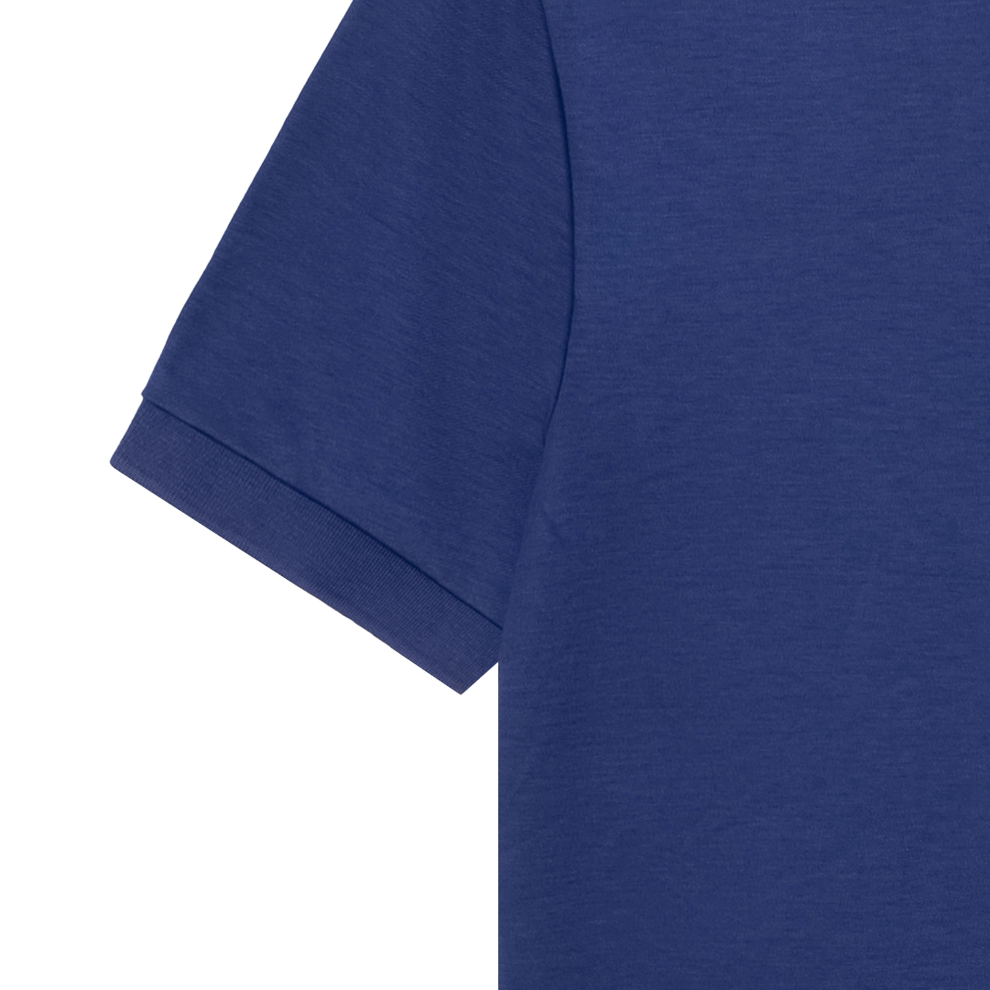 Polo Ralph Lauren LogoPoloPolo