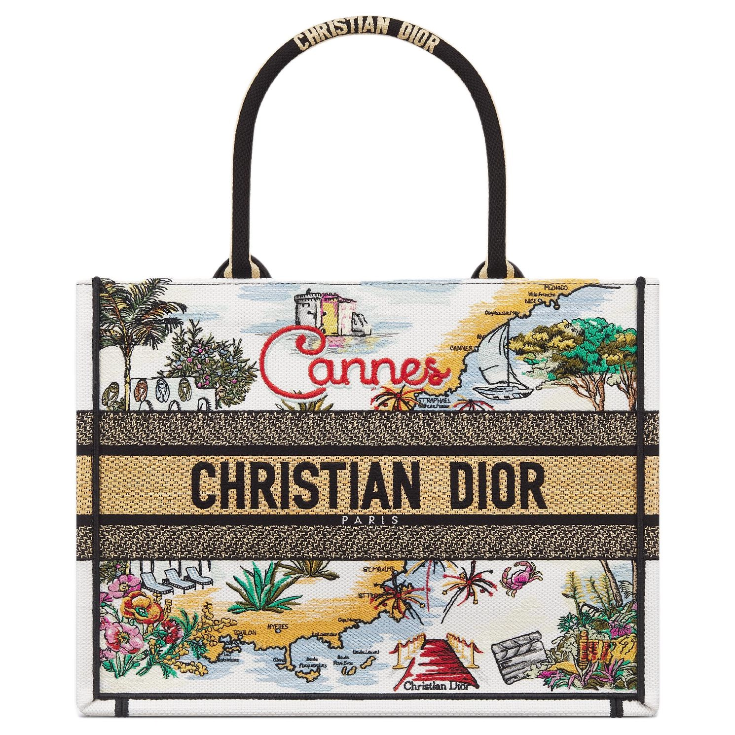 DIOR BookTote Tote