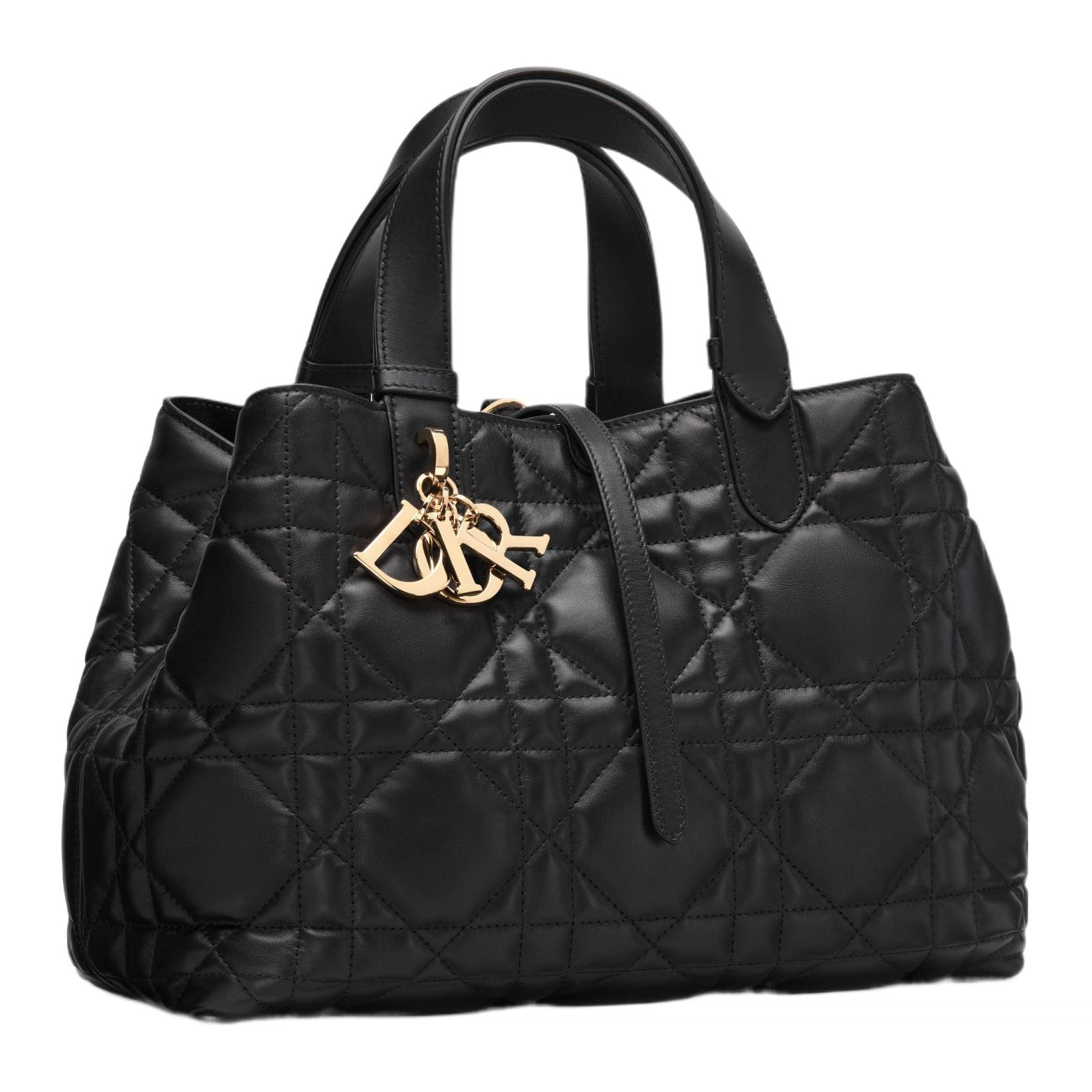 DIOR Toujours