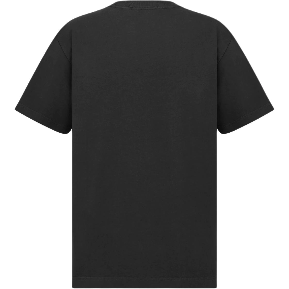 DIOR Lewis Hamilton FW25 T
