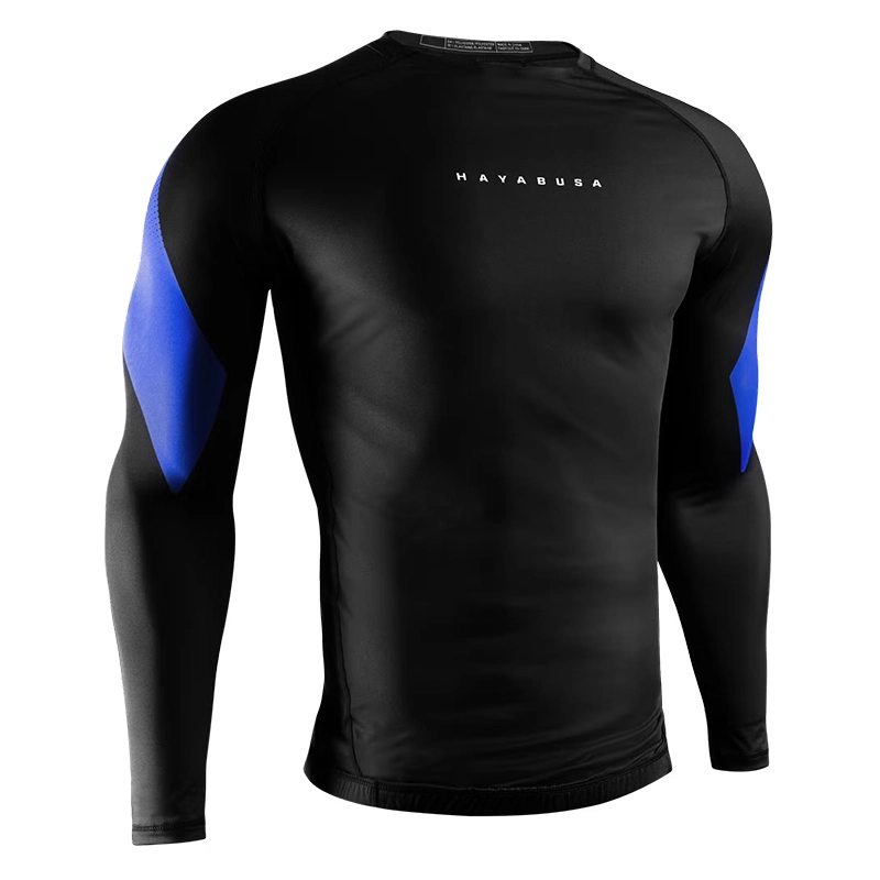 HAYABUSA T