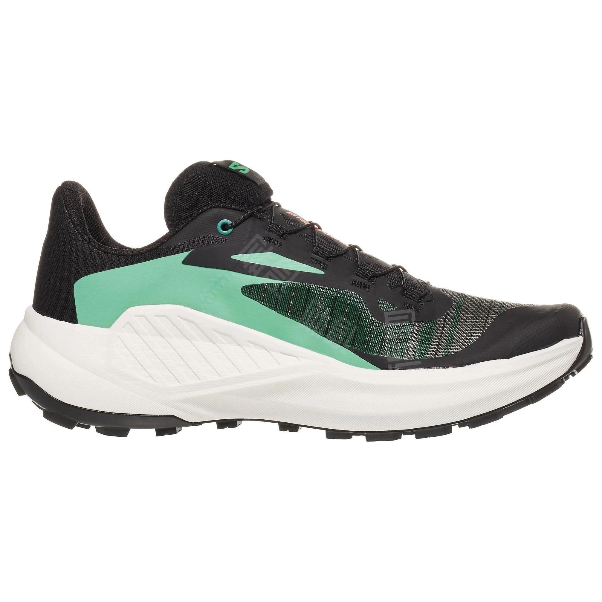 SALOMON GENESIS