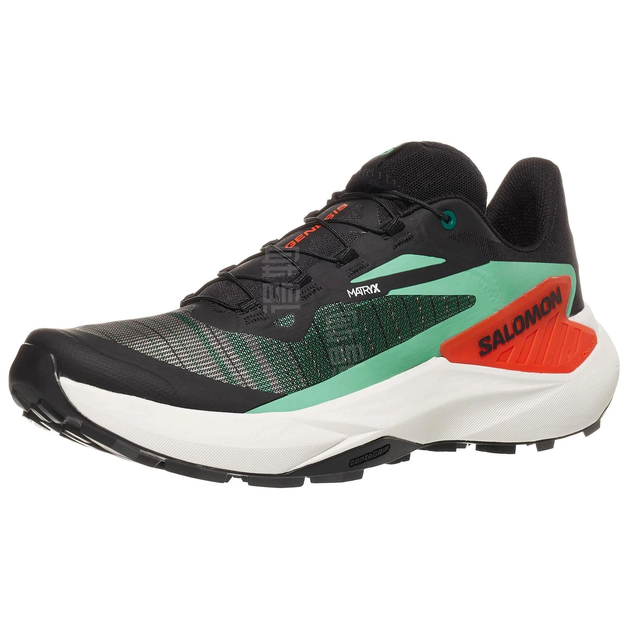 SALOMON GENESIS