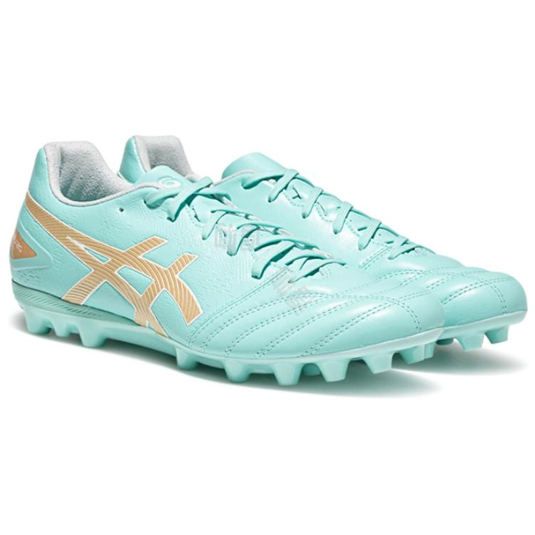 Asics DS LIGHT PRO AG