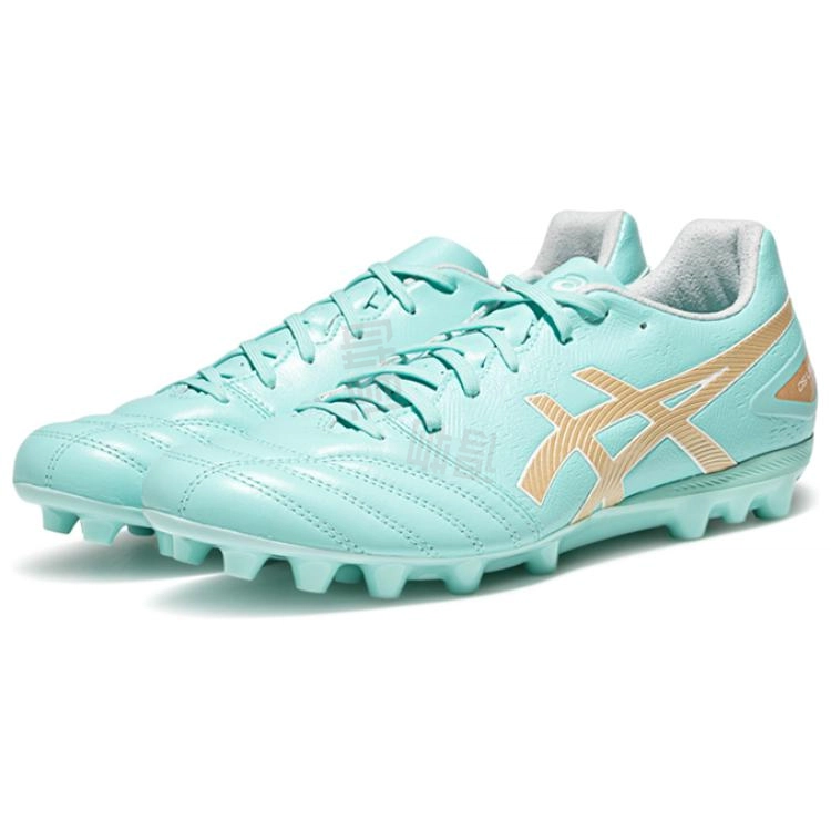 Asics DS LIGHT PRO AG
