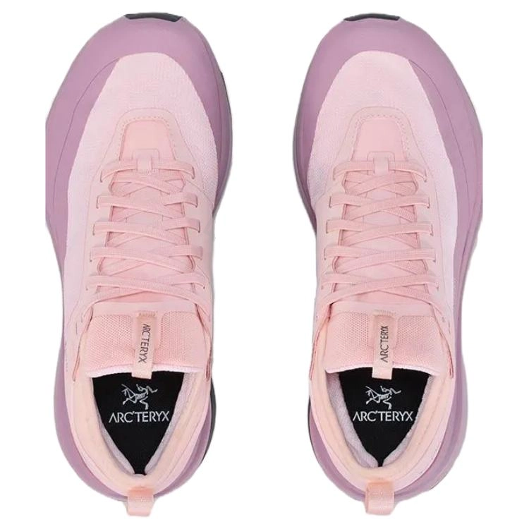 Arcteryx SYLAN GTX