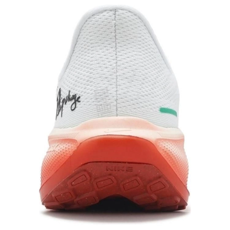 Nike Air Zoom Pegasus 41