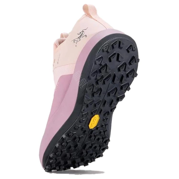 Arcteryx SYLAN GTX