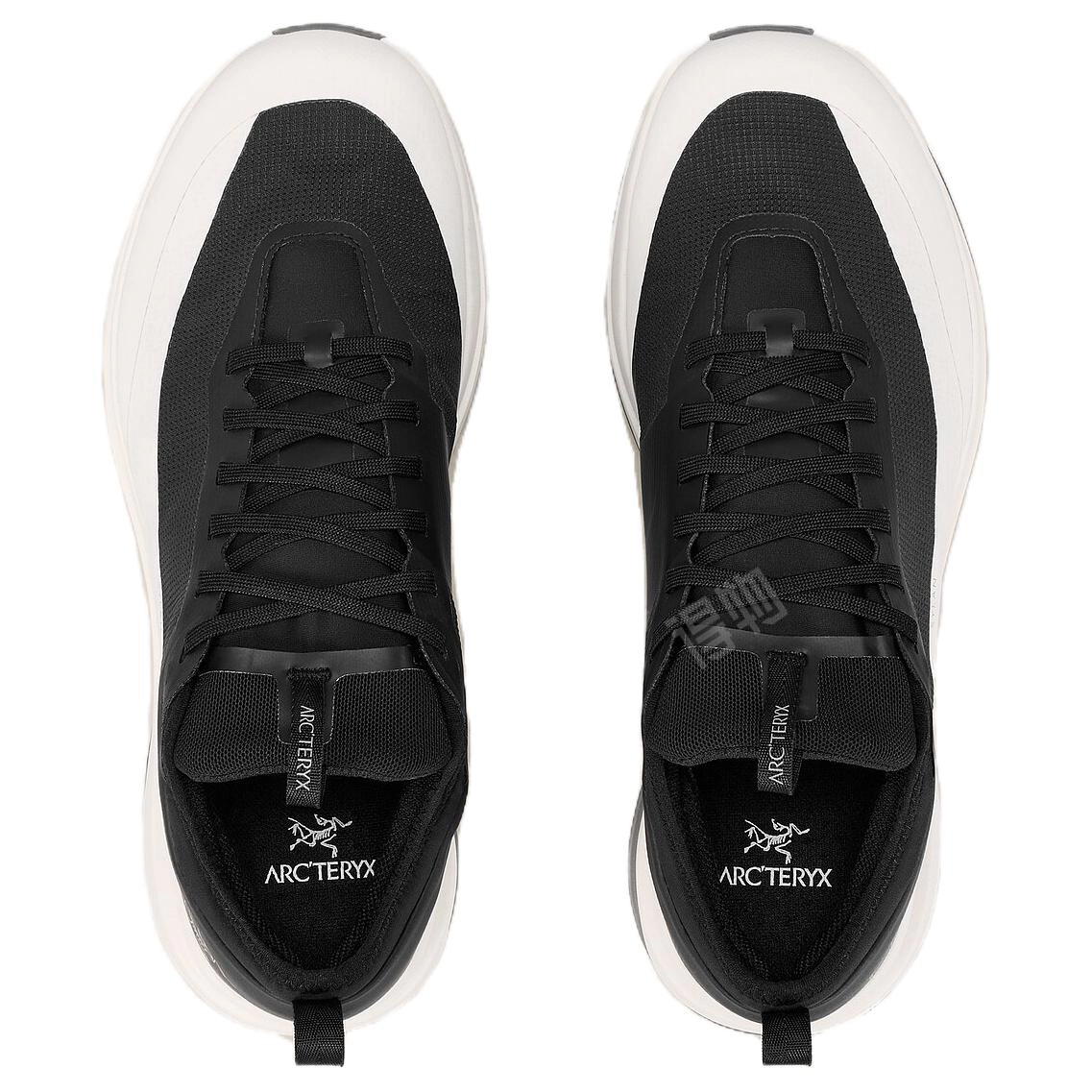 Arcteryx SYLAN GTX