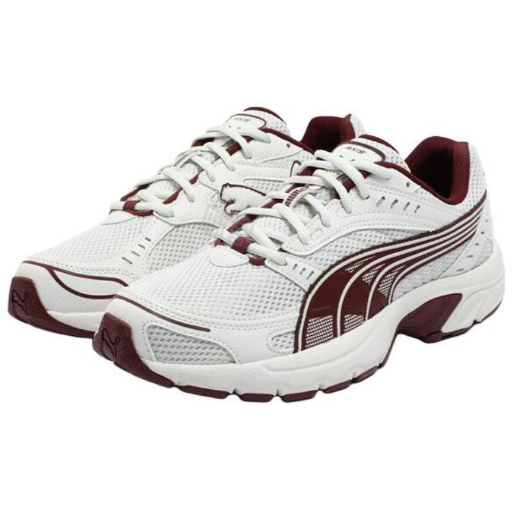 PUMA Axis