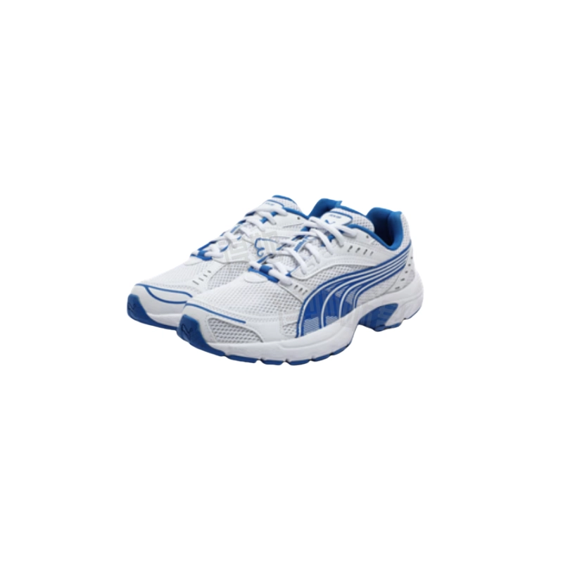 PUMA Axis