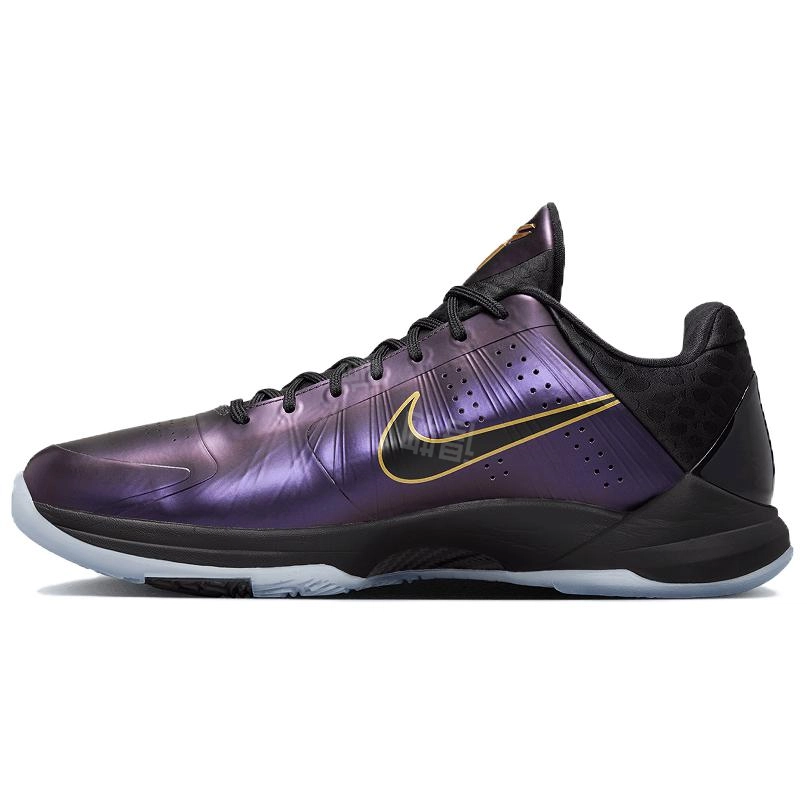 Nike Kobe 5 ProtroYear of the Mamba