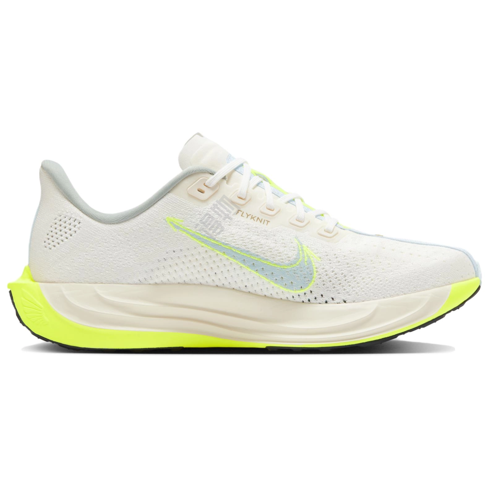 Nike Pegasus Plus