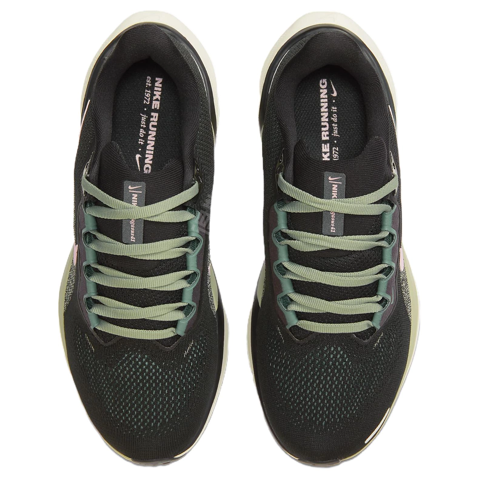 Nike Pegasus 41