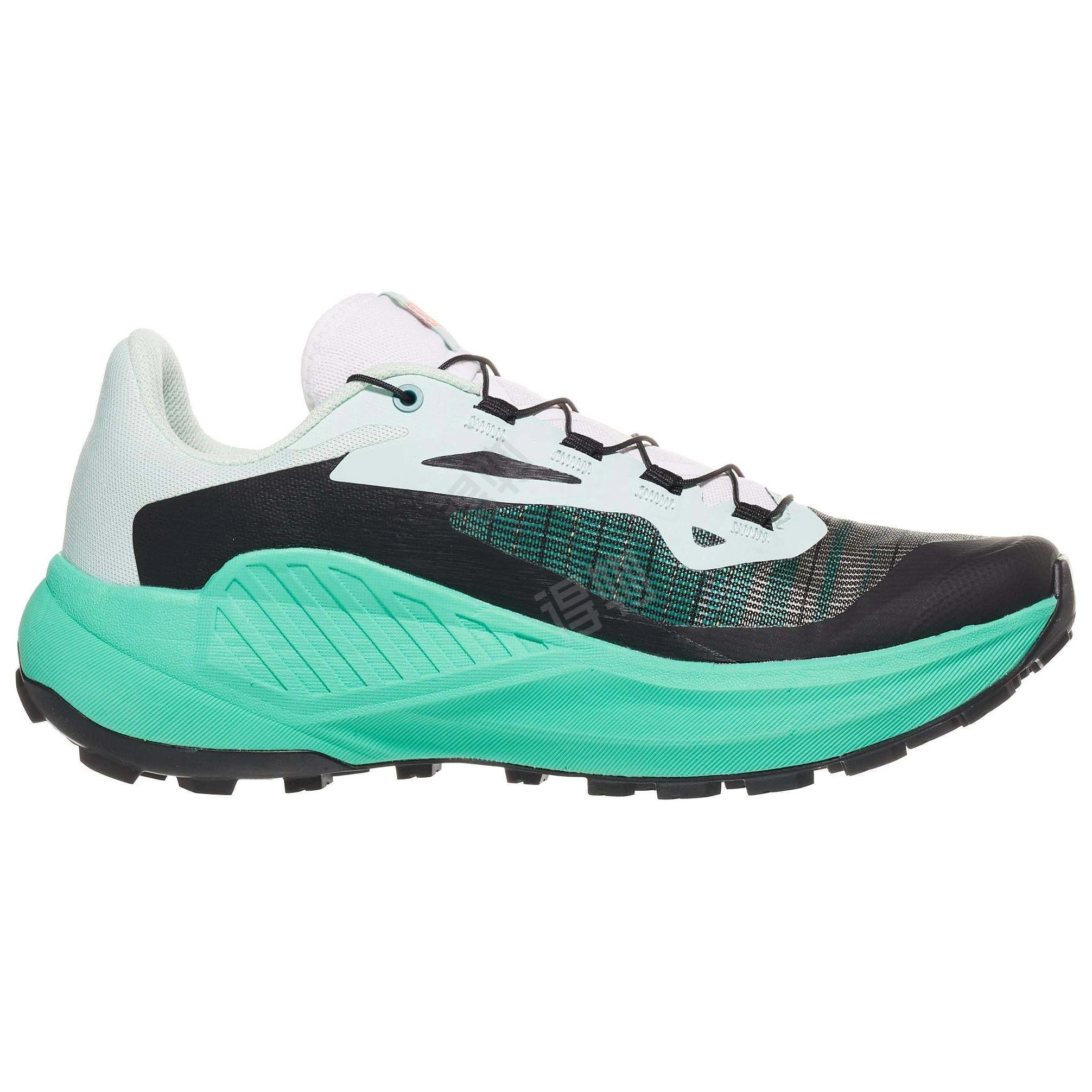 SALOMON GENESIS
