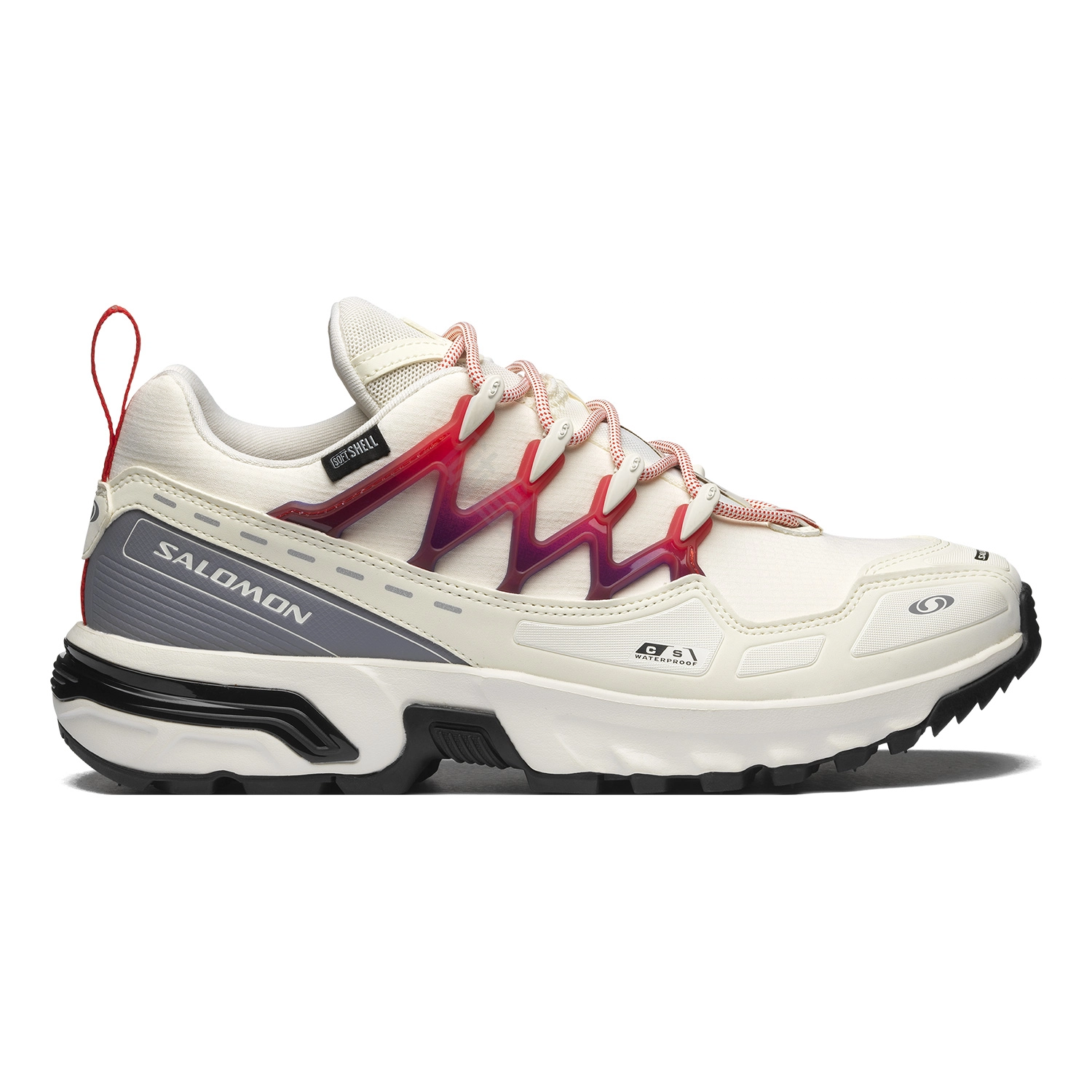 SALOMON ACS + CSWP