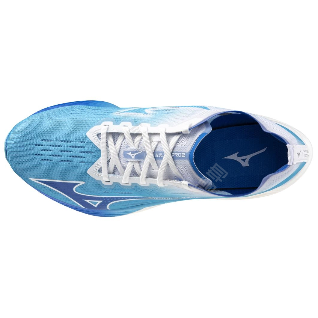 Mizuno Wave Rebellion Pro 2