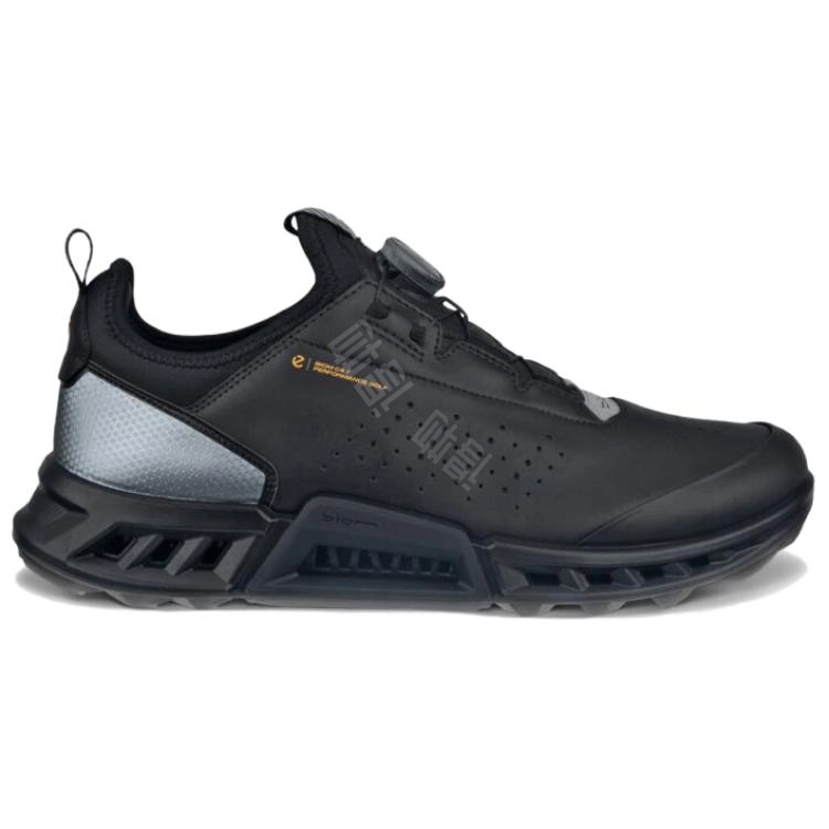 ecco C