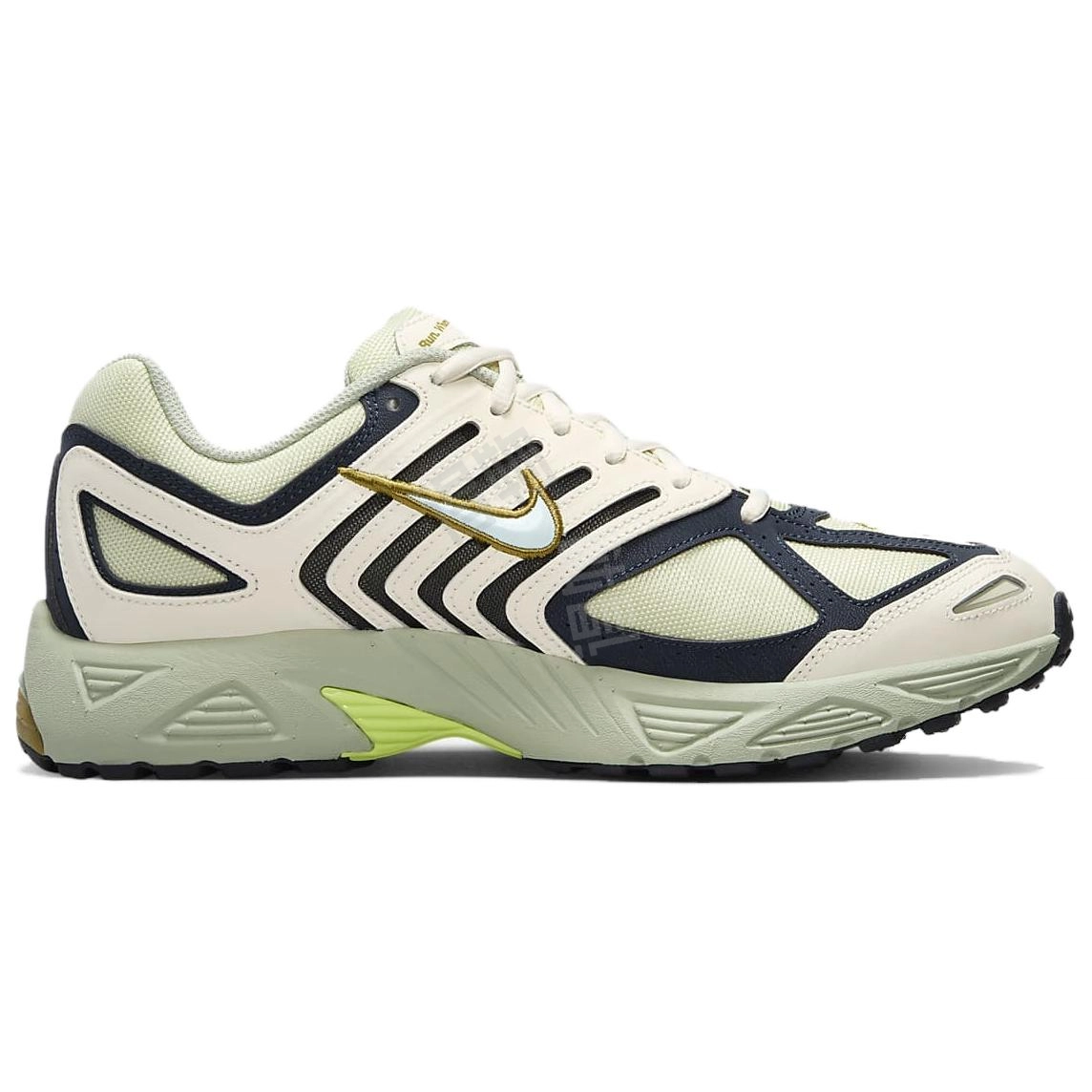 Nike Air Pegasus 2005