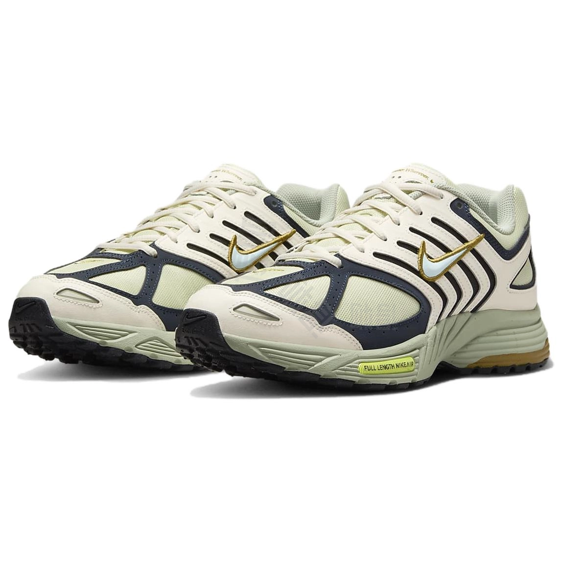 Nike Air Pegasus 2005