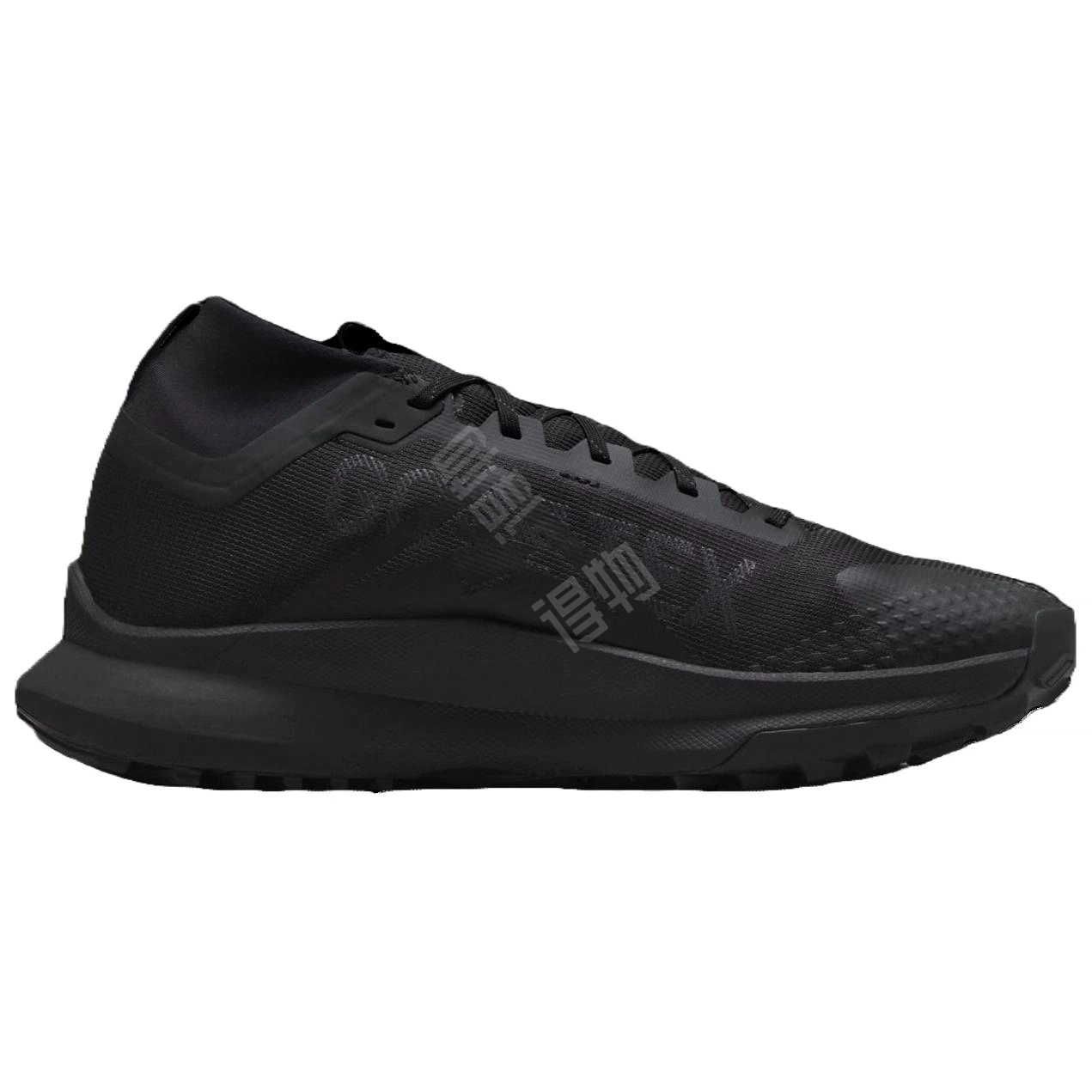 Nike Pegasus Trail 4 GTX V2