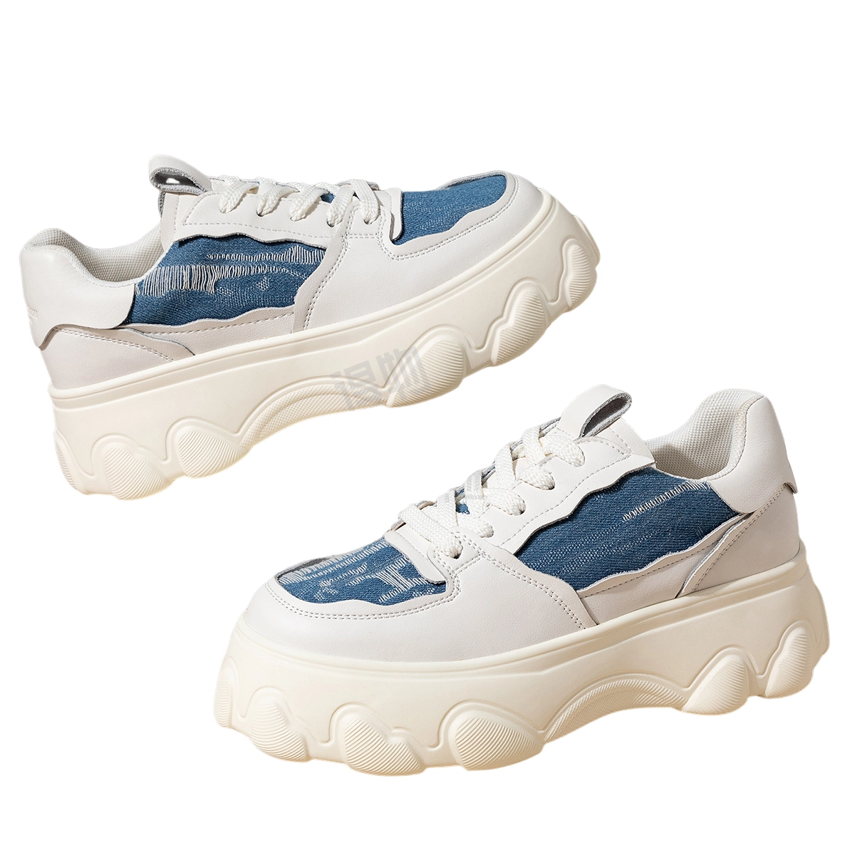 AQUASCUTUM
