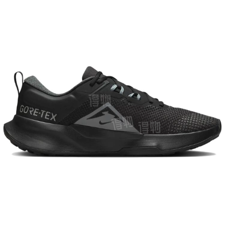 Nike Juniper Trail 2 GORE-TEX