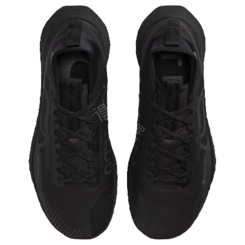 Nike Pegasus Trail 4 GTX V2
