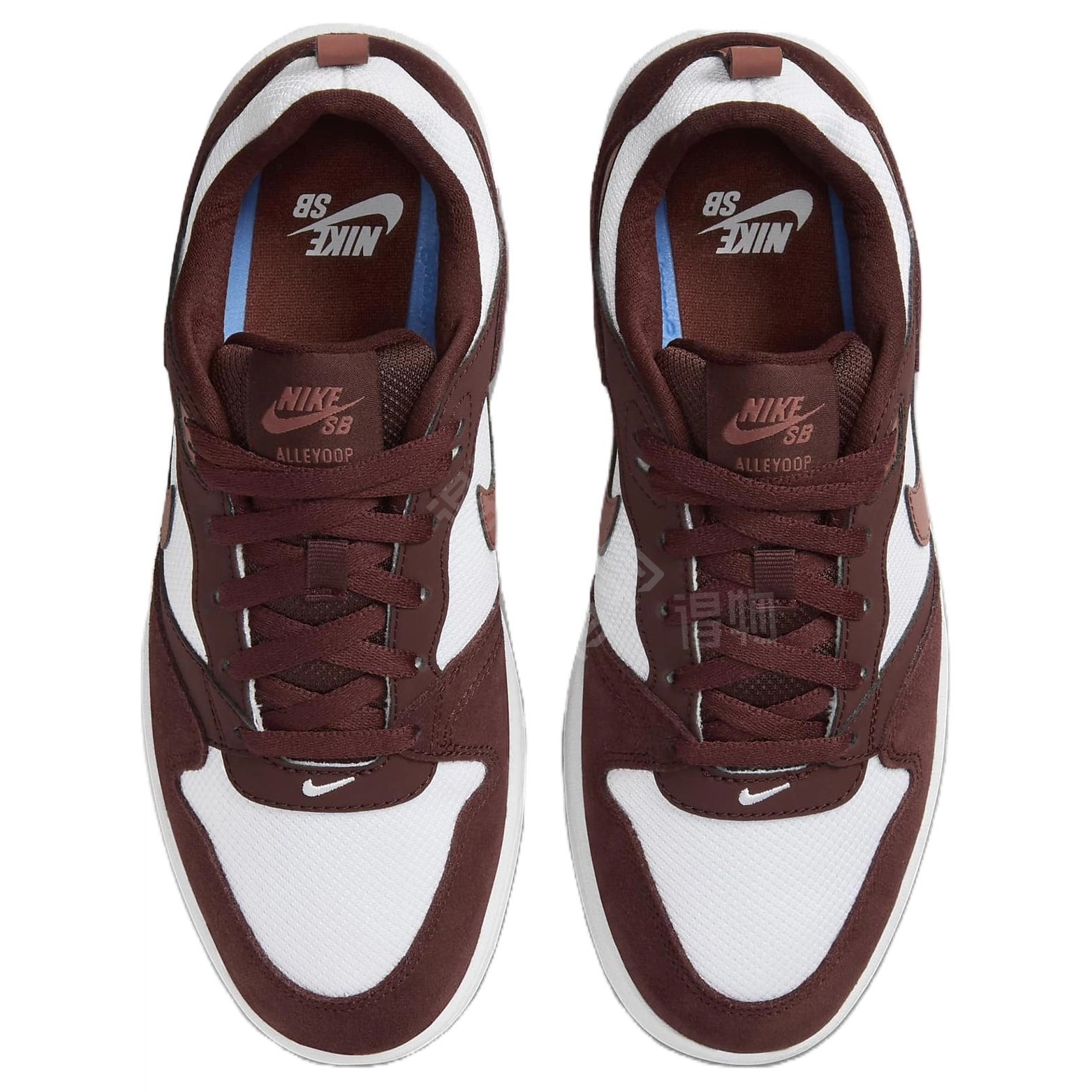 Nike SB Alleyoop