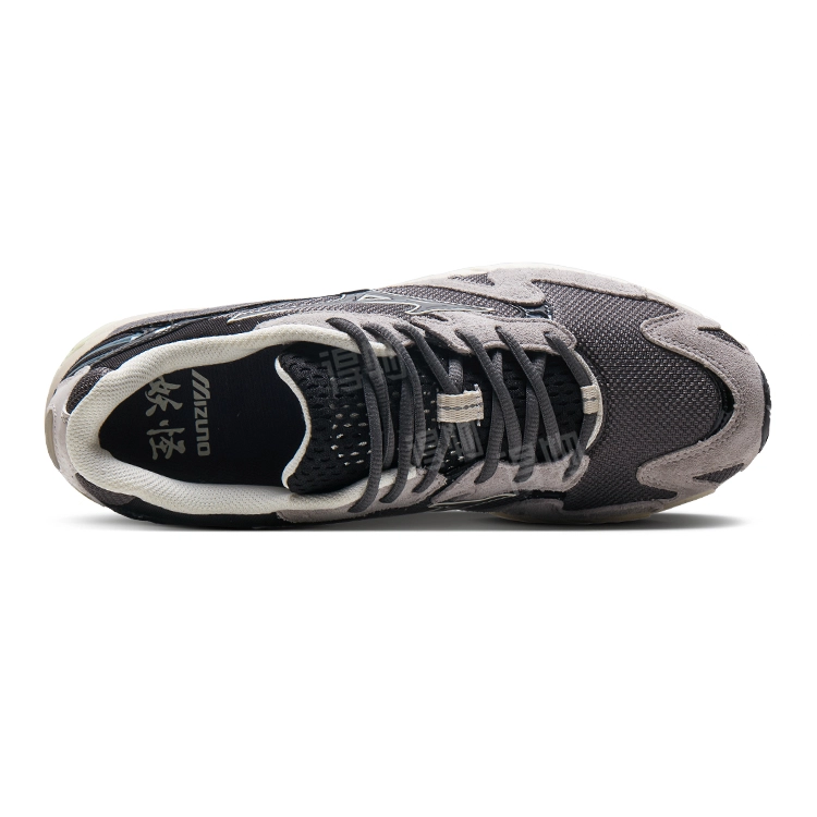 Mizuno Wave Rider 10