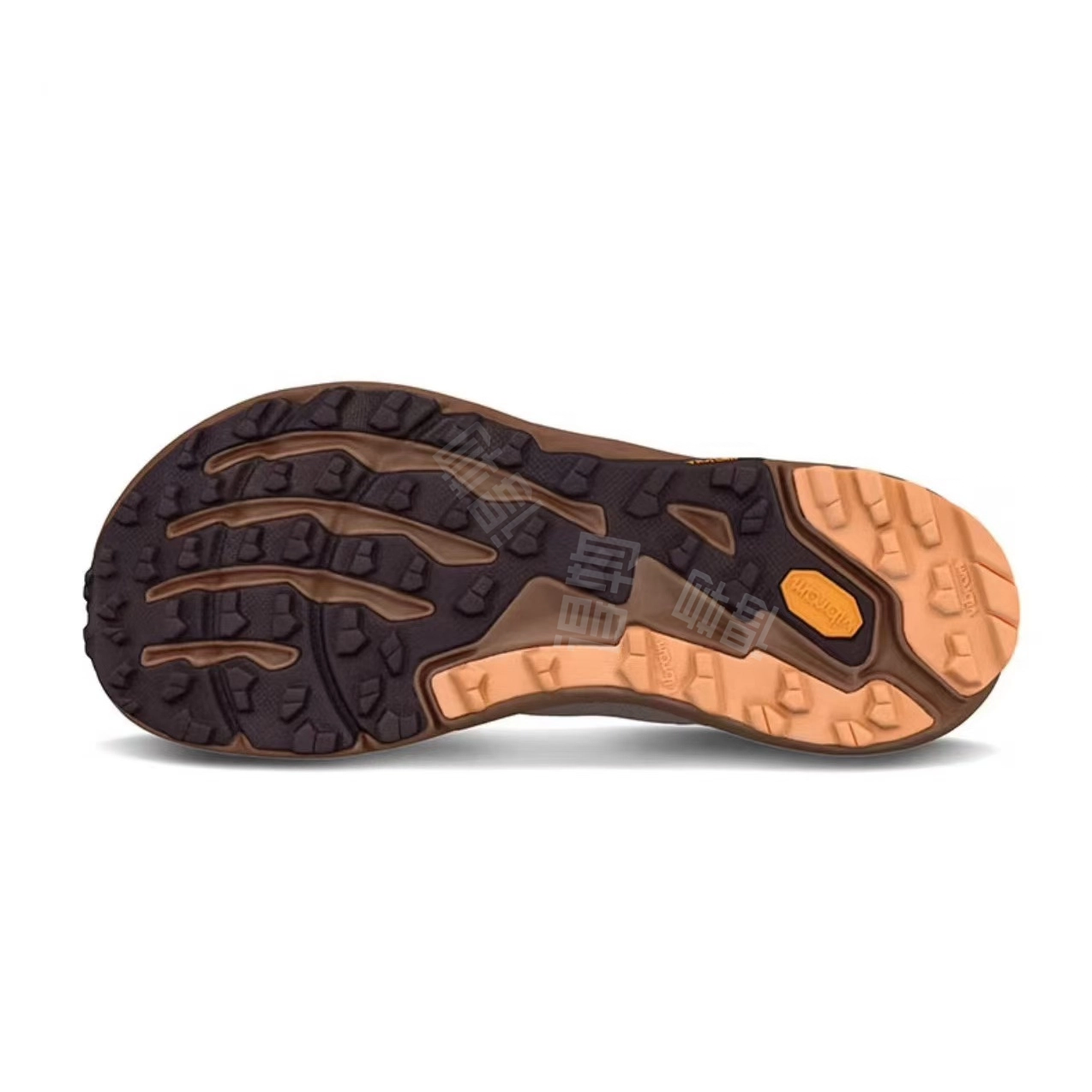 Altra TIMP 5