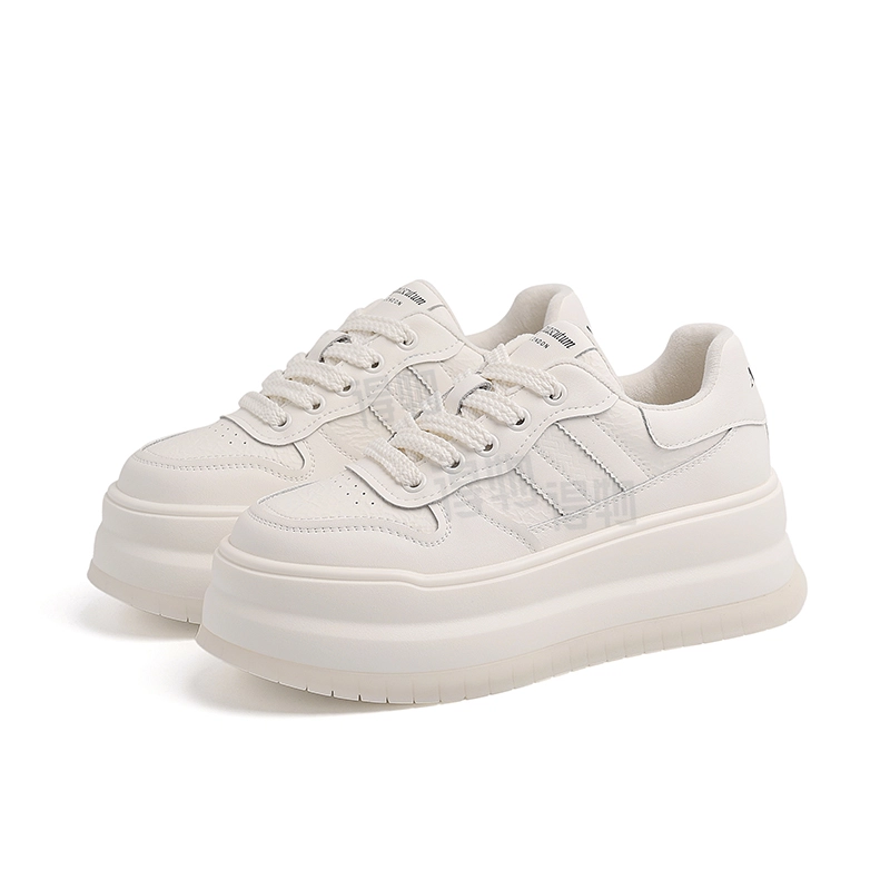 AQUASCUTUM