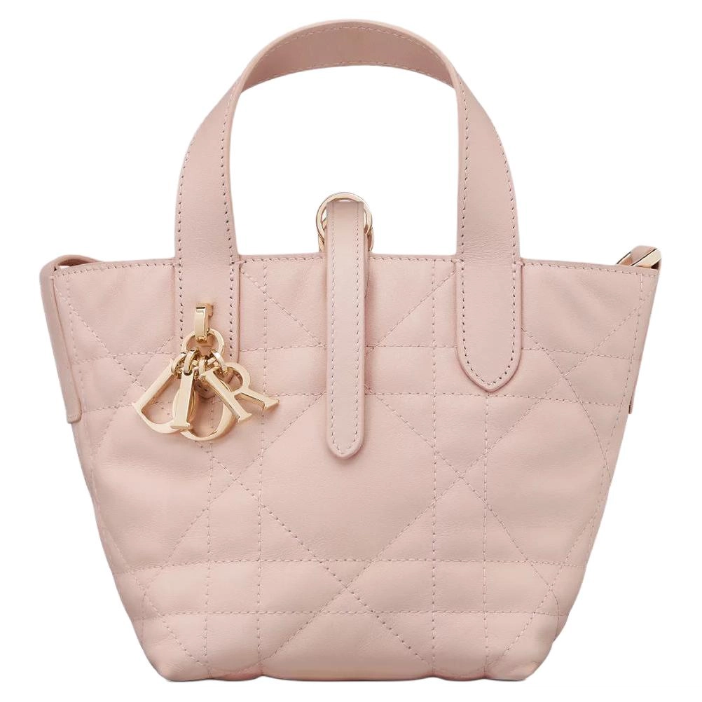 DIOR Toujours CD Lock Tote nano