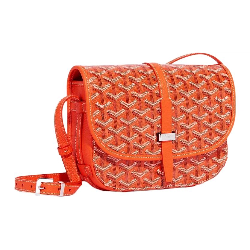 GOYARD Belvdre Y 11