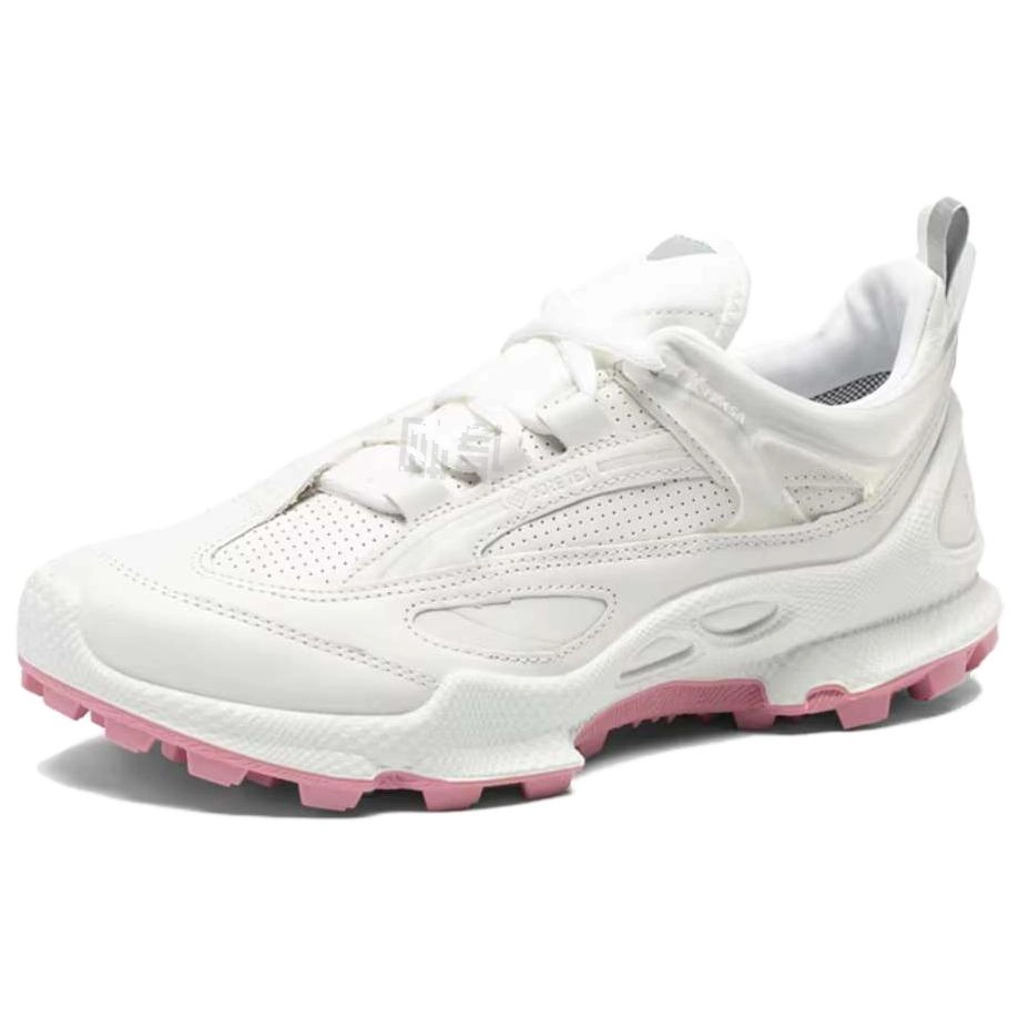 ecco Biom C Trail