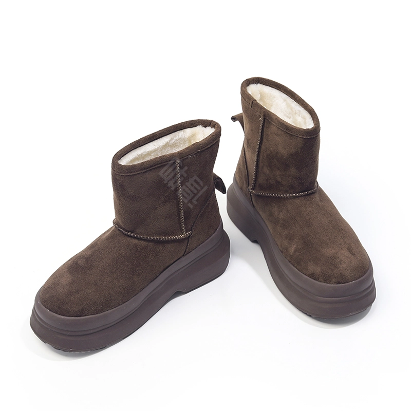 DOLIN COLLECTION -L