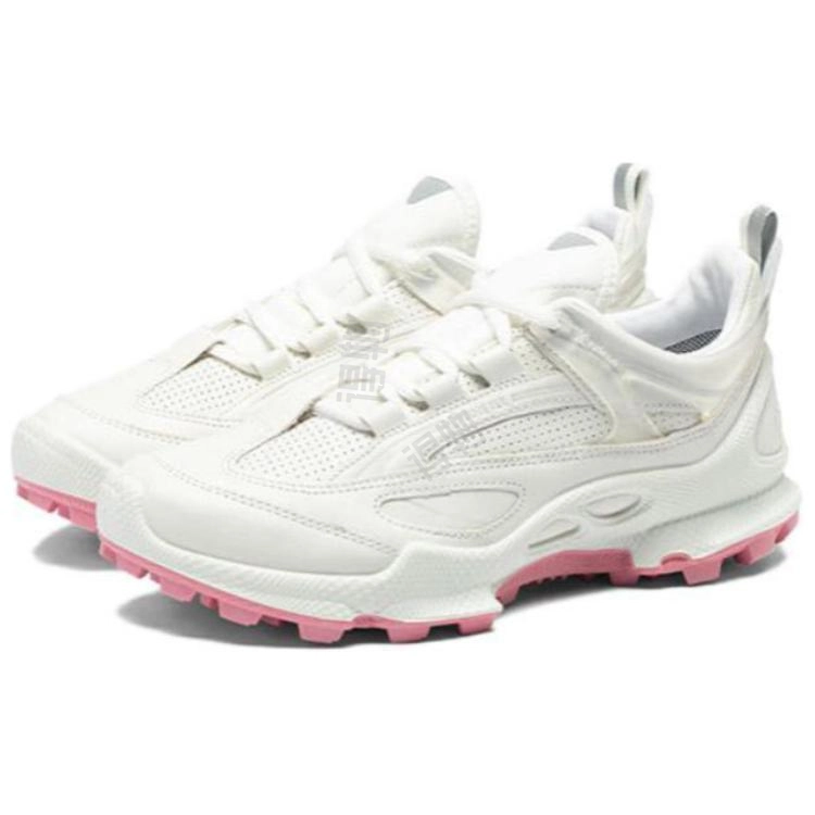 ecco Biom C Trail