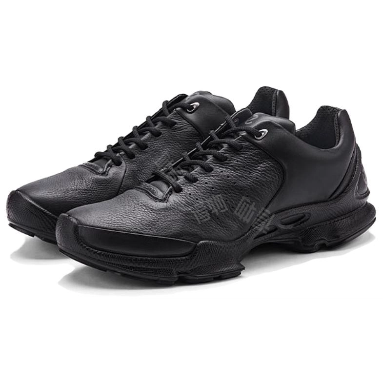 ecco BIOM C
