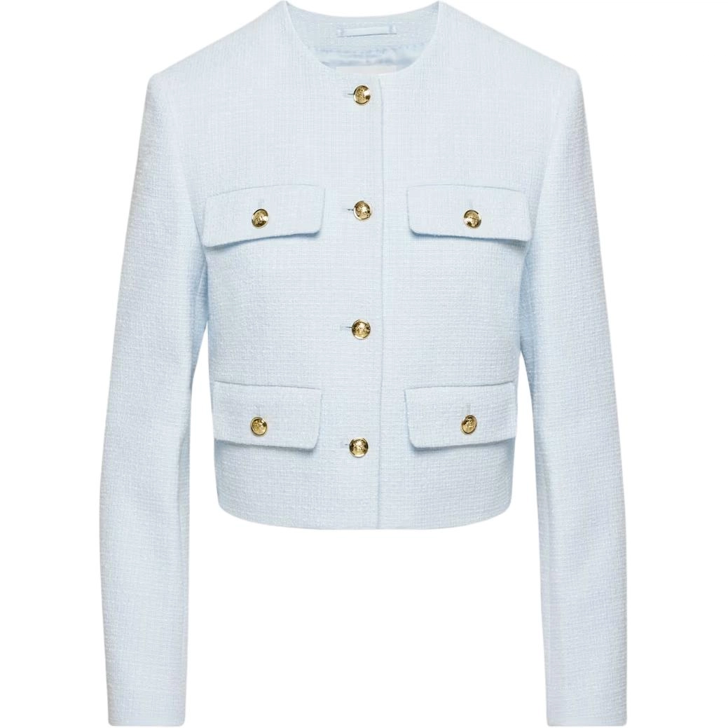 ARITZIA Babaton Anchor Jacket