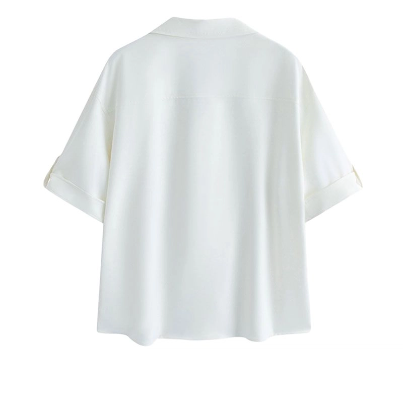 PINSCIO ZENIE t