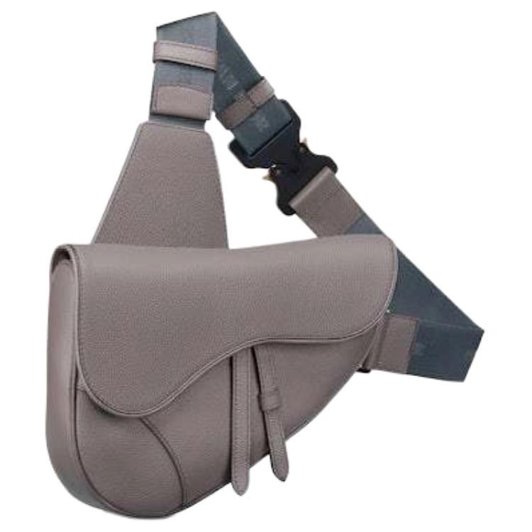 DIOR Saddle