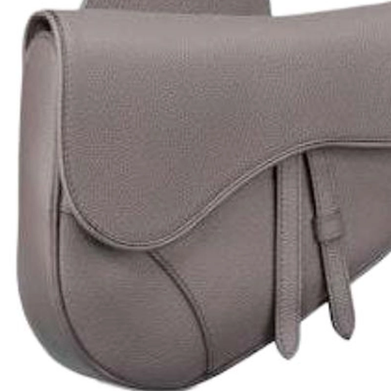 DIOR Saddle