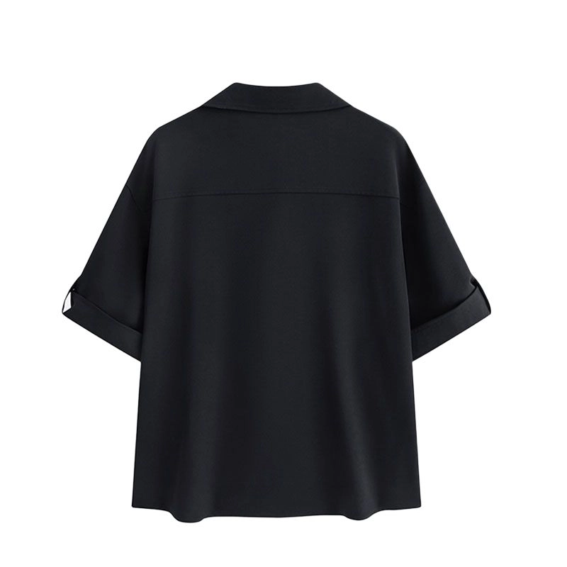 PINSCIO ZENIE t