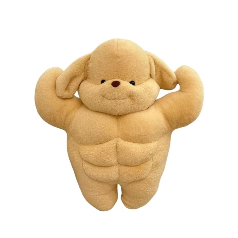 50cm