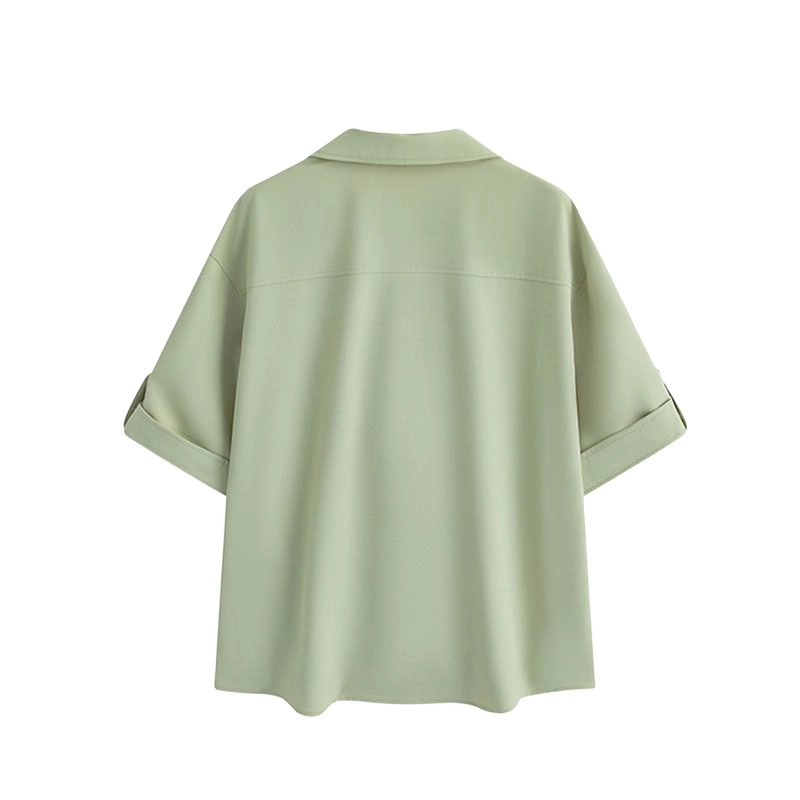 PINSCIO ZENIE t