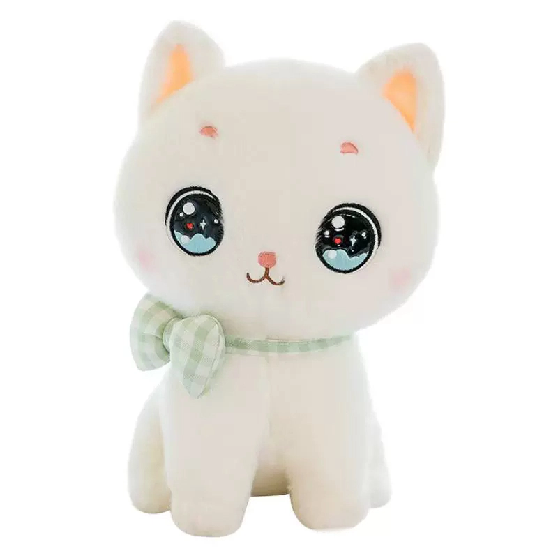 25cm30cm